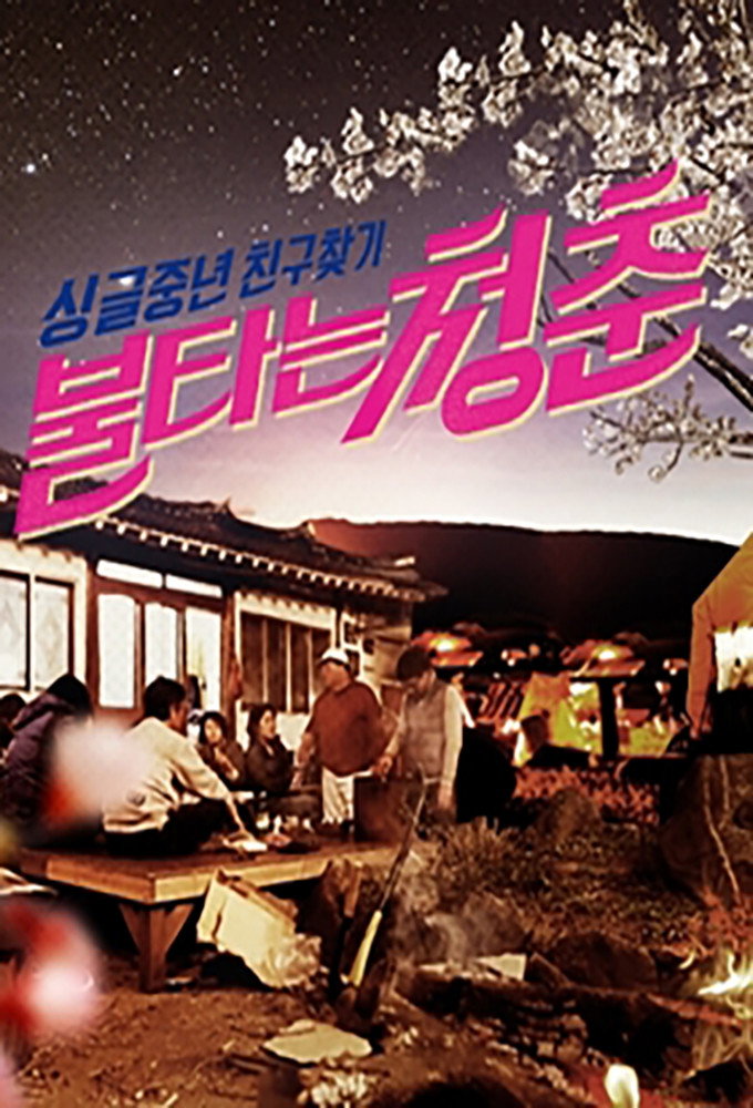 불타는 청춘 포스터