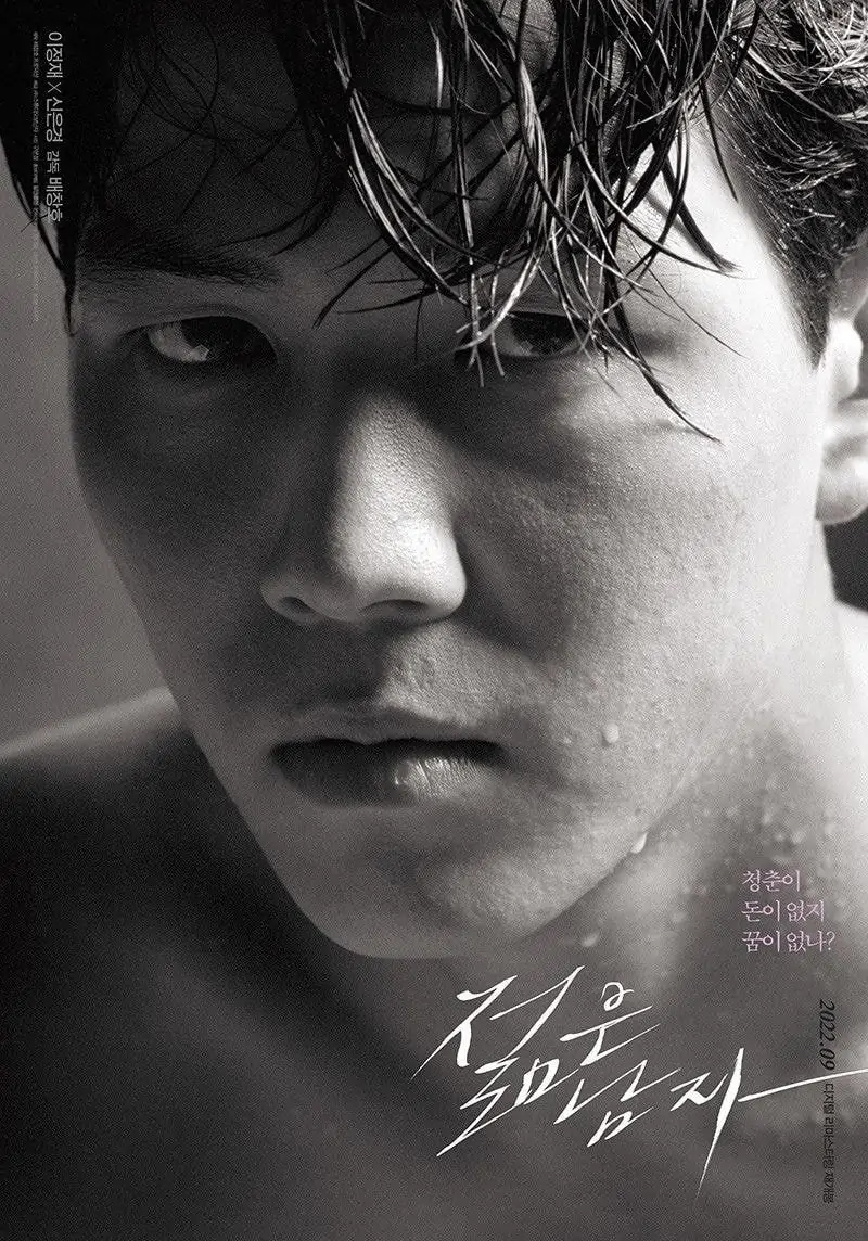 마법의광휘 포스터