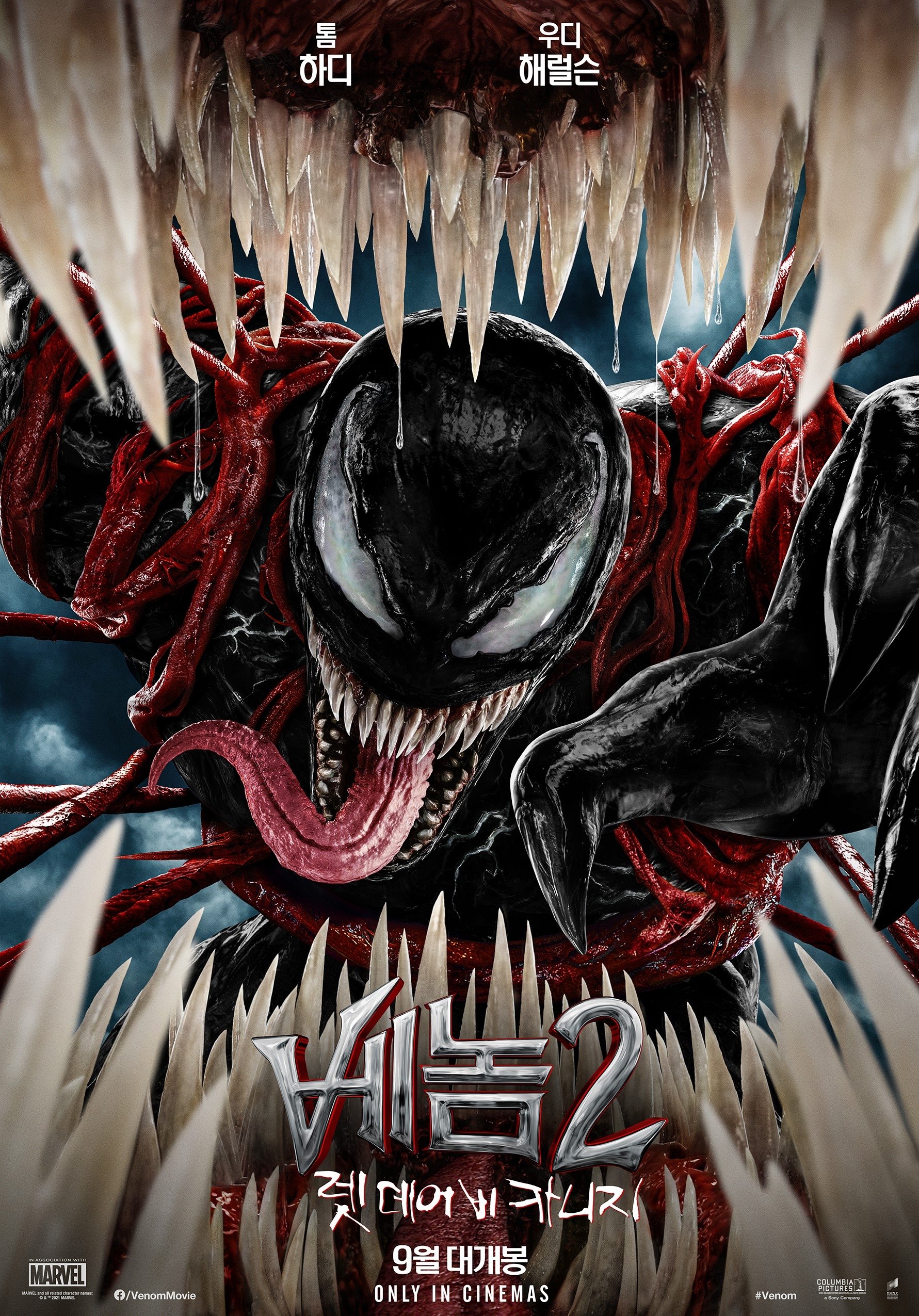 카 포스터